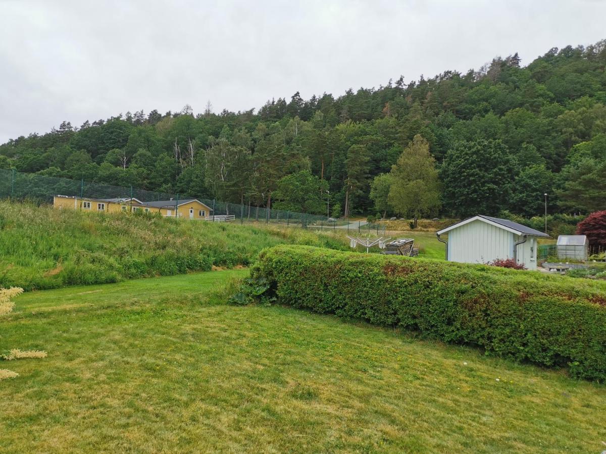 Molle Annexet -lantlig Gastsvit I Appartamento *